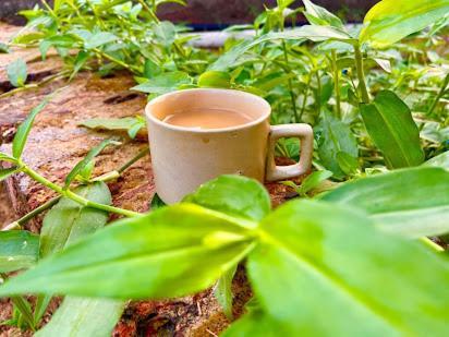 Samarth Atc-Beach Home Stay รัตนากีรี ภายนอก รูปภาพ